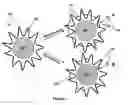 Fig. 02 - Control of Transport to and from Nanoparticle Surfaces