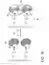 Fig. 10 - Protein-coupled bioelectric solar cell