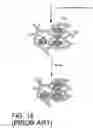 Fig. 16 - Protein-coupled bioelectric solar cell