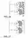 Fig. 23 - Protein-coupled bioelectric solar cell