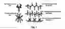 Fig. 02 - COPOLYMERS OF FLUORINATED POLYDIENES AND SULFONATED POLYSTYRENE