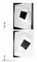 Fig. 19 - COPOLYMERS OF FLUORINATED POLYDIENES AND SULFONATED POLYSTYRENE
