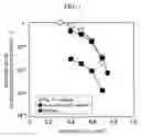 Fig. 07 - FUEL CELL USING THE CATALYST OF METAL CLUSTERS