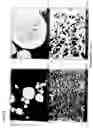 Fig. 04 - Positive electrode active material and non-aqueous electrolyte secondary battery containing the same