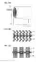 Fig. 11 - Non-aqueous electrolyte secondary battery