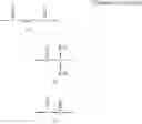 Fig. 09 - Electrolyte solution containing a cyclic imide salt and light metal salt and battery
