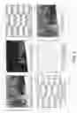 Fig. 06 - Glossmark image simulation with application of background modified gloss effect image