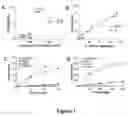 Fig. 02 - Methods of detecting chronic lymphocytic leukemia with Hsp90 and ZAP-70