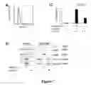 Fig. 08 - Methods of detecting chronic lymphocytic leukemia with Hsp90 and ZAP-70