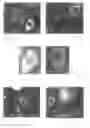 Fig. 02 - Methods for identifying and isolating stem cells