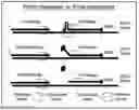 Fig. 01 - Specialized oligonucleotides and their use in nucleic acid amplification and detection