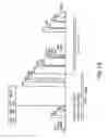 Fig. 37 - Nucleotide and amino acid sequences, and assays and methods of use thereof for diagnosis of cardiac disease