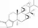Fig. 02 - Identification and screening of triptolide target molecules