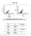 Fig. 07 - METHODS FOR DIAGNOSING AND TREATING HEMOSTATIC DISORDERS BY MODULATING P-SELECTIN ACTIVITY