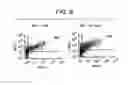 Fig. 09 - METHODS FOR DIAGNOSING AND TREATING HEMOSTATIC DISORDERS BY MODULATING P-SELECTIN ACTIVITY