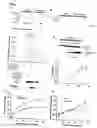 Fig. 03 - Inducible Nitric Oxide Synthase Binds, S-Nitrosylates, and Activates Cyclooxygenase-2