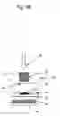 Fig. 10 - Convenient detection method, detection apparatus and detection kit