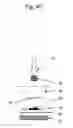 Fig. 11 - Convenient detection method, detection apparatus and detection kit
