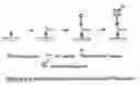 Fig. 01 - Kit and Method for the Detection of Anti-Hepatitis C Virus (Hcv) Antibodies