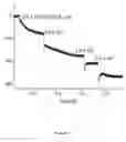 Fig. 06 - Method of microorganism detection using carbohydrate and lectin recognition