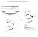 Fig. 01 - Bacterial leader sequences for increased expression