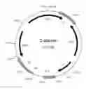 Fig. 01 - Gene expression technique
