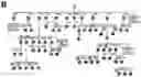 Fig. 01 - Method for generating diversity