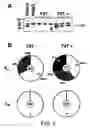 Fig. 08 - Method for generating diversity