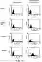 Fig. 19 - Method for generating diversity