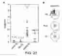 Fig. 28 - Method for generating diversity
