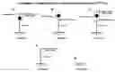 Fig. 01 - Quasirandom structure and function guided synthesis methods
