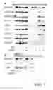 Fig. 04 - Methods For Producing Dendritic Cells That Have Acquired Ctl-Inducing Ability