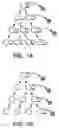 Fig. 02 - Isolation and use of solid tumor stem cells