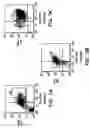 Fig. 04 - Isolation and use of solid tumor stem cells