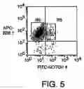 Fig. 06 - Isolation and use of solid tumor stem cells