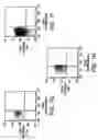 Fig. 10 - Isolation and use of solid tumor stem cells