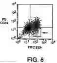 Fig. 12 - Isolation and use of solid tumor stem cells