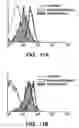 Fig. 16 - Isolation and use of solid tumor stem cells