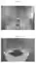 Fig. 03 - COMMERCIALLY VIABLE PROCESS FOR IN VITRO MASS CULTURE OF JATROPHA CURCAS