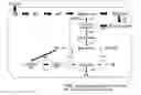 Fig. 01 - L-methionine producing microorganism and method of producing L-methionine using the microorganism