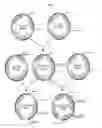 Fig. 03 - L-methionine producing microorganism and method of producing L-methionine using the microorganism