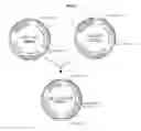 Fig. 04 - L-methionine producing microorganism and method of producing L-methionine using the microorganism