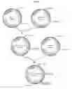 Fig. 05 - L-methionine producing microorganism and method of producing L-methionine using the microorganism