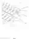 Fig. 19 - Method and apparatus for automated rapid immunohistochemistry