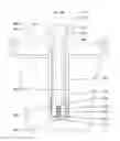 Fig. 19 - Integrated device for analyte, testing, confirmation, and donor identity verification