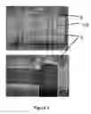 Fig. 04 - Method of producing plurality of organic transistors using laser patterning