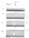 Fig. 07 - Method of producing plurality of organic transistors using laser patterning