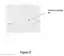 Fig. 10 - Method of producing plurality of organic transistors using laser patterning