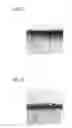 Fig. 07 - Method of Introducing Impurity