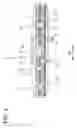 Fig. 04 - Connector